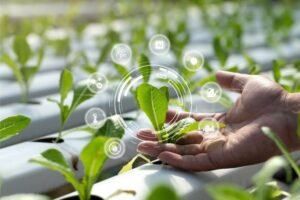 India’s Agricultural Trade Landscape and Strategic Policy Outlook