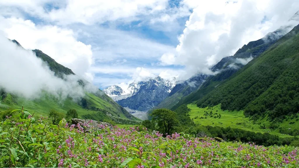 Road Connectivity Set to Boost Tourism in the 'Valley of Flowers' – Bhal Padri, Doda (J&K)