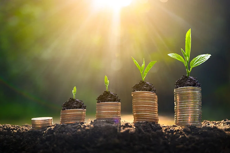 Green Credits Linked to Canopy Density