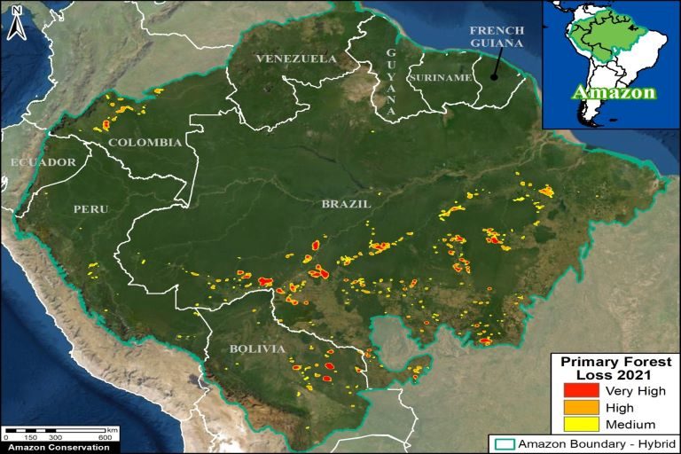 Amazon’s ‘Flying Rivers’ Weaken with Tree Loss